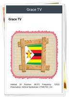 Toutes les chaînes Zimbabwe capture d'écran 1