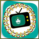 All TV Macau APK