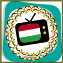 All TV Hungary APK