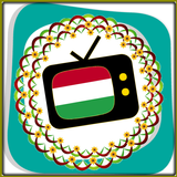 All TV Hungary icône