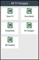 All TV Hungary plakat