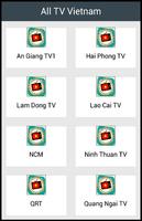 All TV Vietnam Affiche