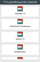TV Luxembourg Info Channel Affiche