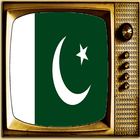 TV Pakistan Info Channel icône