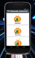TV Channels cameroon-poster
