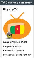 TV Channels cameroon تصوير الشاشة 1