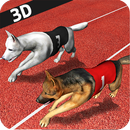 Dog Racing 3D aplikacja