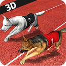 Dog Racing  3D Run  Animal  Doggy Race: pet Racing APK