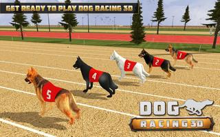 Chó Racing 3D bài đăng