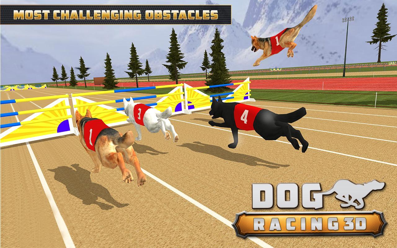 • Гонки собачьих на картах. Dog Racing Slot. Pet racer
