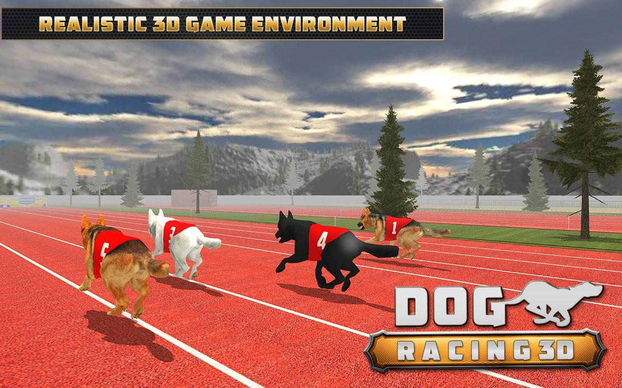 Pet Racer 2003. Animal Run Race game. Dog Racing Slot. Sled Race Pet Simulator 99. Pet racer