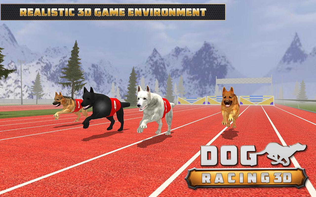 Pet racer. Игра гонки собак. • Гонки собачьих на картах. Лимог дог геймс. Pet Racer 2003.