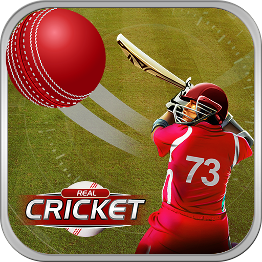 Play Cricket Matches