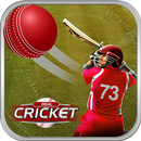 Play Cricket Matches aplikacja