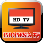 All Indonesian TV Channels ícone