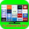 tv indonesia lite APK