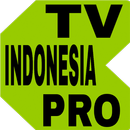 TV Indonesia Online Pro APK