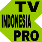 TV Indonesia Online Pro icône