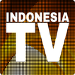 TV Indonesia - Streaming tanpa Buffering