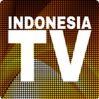 TV Indonesia - Streaming tanpa Buffering icône