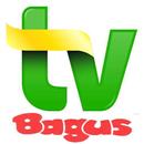 Tv Online Bagus APK