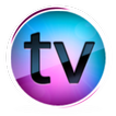 TV Online Indonesia HD