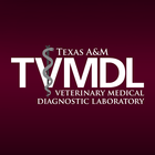 TVMDL Mobile icon