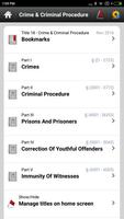 US Title 18  Crime & Criminal постер