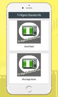 TV Nigeria Channels Info پوسٹر