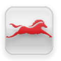 TVSM Service
