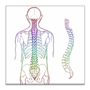 Audiobook - Chiropractors APK