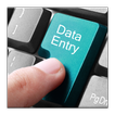 ”Data Entry Guides Great IT Job