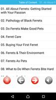 Ferrets Great Funny Home Pets الملصق