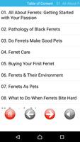 Ferrets Great Funny Home Pets Plakat