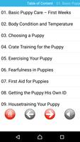 Puppy Care: Full Healthy Guide poster
