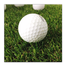 Senior Golf For Professionals APK