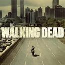 APK Walking Dead