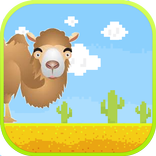 Jumpy Camel