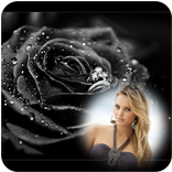 Black Rose Photo Frames