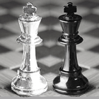 Twin Cities Chess Club icône