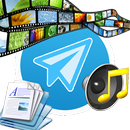 Explorador de Galeria Telegram APK