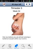 Pregnancy Diary Twins in Womb Affiche