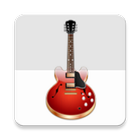 Guitar Chords (Pro) ícone