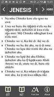 Yoruba & Igbo Bible capture d'écran 2