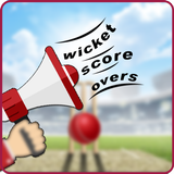 Live Cricket Fever icono
