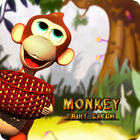 Monkey Fruit Catch icône