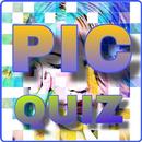 Picture Quest APK