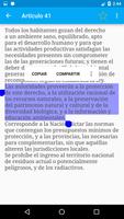 Constitución de Argentina اسکرین شاٹ 3