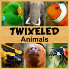 Twixeled - Animals ikon