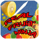 Real Fruit Ninja APK